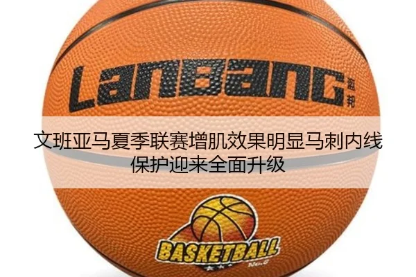 img_1783162122215_172_1_779.jpg